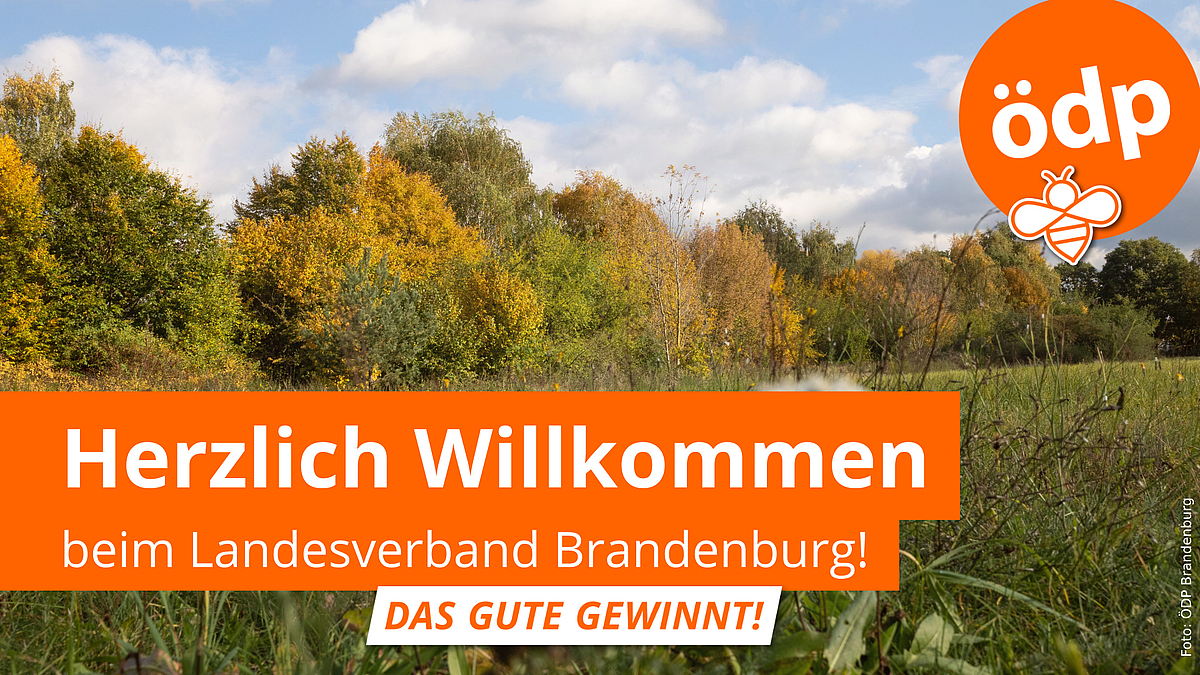 Herzlich Willkommen beim ÖDP Landesverband Brandenburg.