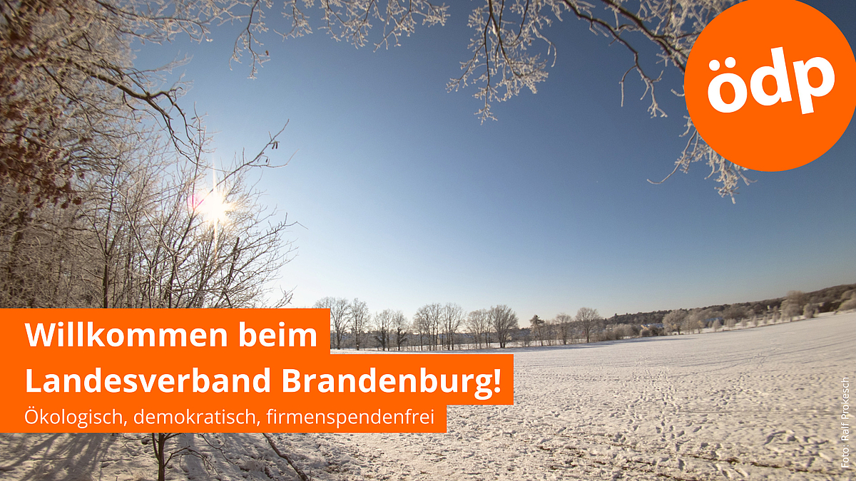 Herzlich willkommen beim Landesverband Brandenburg!